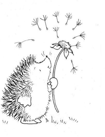 Wildlife Drawings Easy, Giraffe Line Art, Cute Hedgehog Wallpaper, Cute Ganesha Drawing, Drawing Flowers Easy, Cute Hedgehog Drawing, Hedgehog Doodle, Drawing Hedgehog, Cute Ganesha