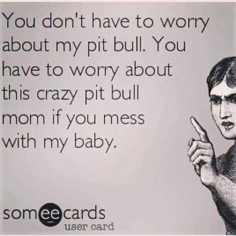 Pit Bull Quotes, Bull Quotes, Pit Mom, Pitbull Quotes, Bully Breed, Pitt Bull, Pitbull Mom, Pit Bull Love, Bull Dogs