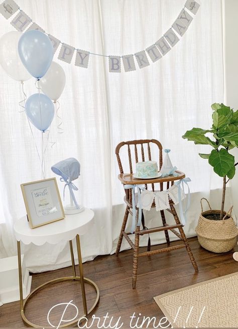 Classic Blue First Birthday, Blue And White First Birthday Theme, Classy 1st Birthday Boy, Blue Gingham Smash Cake, First Bday Pics, Light Blue Smash Cake, Blue Gingham First Birthday, Classic Blue And White First Birthday, Baby Blue Birthday Party Decorations