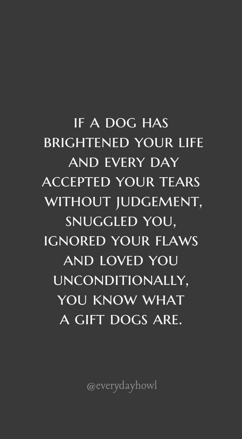 If a dog has brightened your life and every day accepted your tears without judgement, snuggled you, ignored your flaws and loved you unconditionally, you know what a gift dogs are. Love Of Dogs Quotes, Man And His Dog Quotes, Pets Are Family Quotes, Dogs Unconditional Love Quotes, My Dogs Are My Life Quotes, Loving A Dog Quotes, Quotes Dogs Love, Dog Thoughts Quotes, Dog Healing Quotes