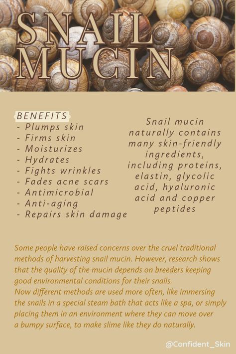 Snail Mucin For Oily Skin, Snail Mucin Benefits, Snail Mucin Before And After, Calendula Oil Benefits, Snail Mucin Skincare, Skin Facts, Face Pores, Skin Advice, Snail Mucin