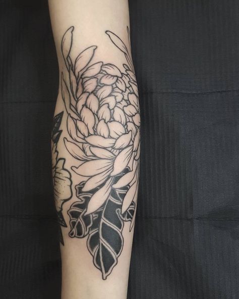 Jan Willem’s Instagram post: “Healed & fresh chrysanthemum on elbow ditch/side 🌼💐 - Booking for Januari & Februari (Rotterdam & Amsterdam). For appointments please…” Small Chrysanthemum Tattoo Design, Places For Tattoos, Elbow Tattoo, Chrysanthemum Tattoo, Health And Wealth, Daisy Tattoo, Elbow Tattoos, Tattoo Cover-up, Wallpapers Images