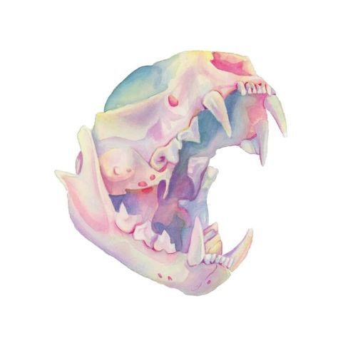 Pastel Skull, Animal Skull, Fall Semester, Bubble Art, Art Deco Posters, Art N Craft, Scary Art, A Level Art, Animal Skulls