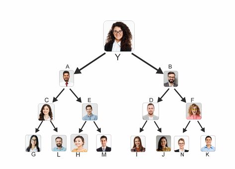 Binary mlm Software Demo | Binary mlm eCommerce Website | Binary Plan MLM Script : LETSCMS PVT. LTD. Mlm Plan, Binary Tree, Binary Trading, Mlm Companies, Mlm Business, Network Marketing Business, Business Software, Win Or Lose, Multi Level Marketing