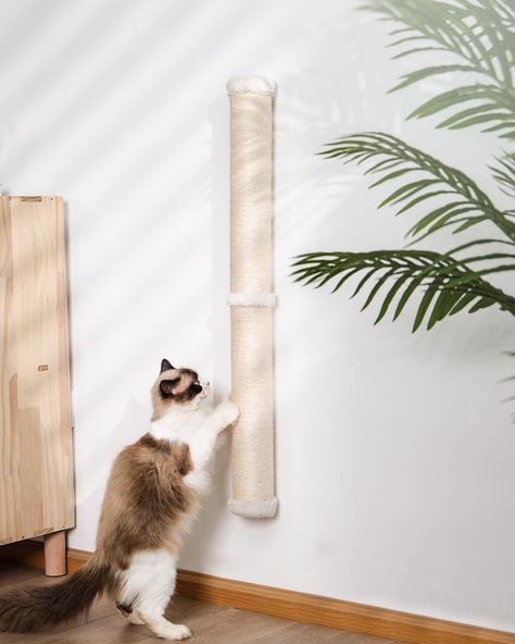 PRICES MAY VARY. Save Space：Maximize space with our Cat Wall Scratcher, perfect for compact areas. Save floor space while offering your feline friend a sturdy, stylish scratching solution. Stretch and Scratch Away: This 34-inch tall, 3.35-inch diameter wall mounted cat scratching post is perfect for most (small, medium and large) cats to fully stretch and satisfy their natural climbing and scratching instincts Safe & Natural Sisal: Made from natural sisal, this cat wall scratcher is gentle on yo Cat Climbing Pole, Cat Wall Scratcher, Indoor Cats, Natural Sisal, Cat Scratching Post, Cat Climbing, Cat Scratcher, Cat Claws, Scratching Post