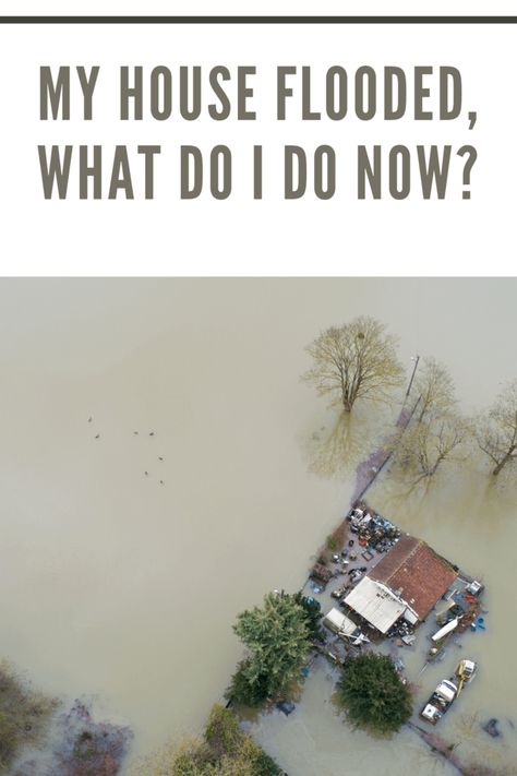 Don't panic when disaster strikes! Explore essential steps after a flood. My House Flooded, What Do I Do Now? #SafetyFirst #DisasterRecovery Leaky Toilet, What Do I Do Now, Flooded House, Flood Prevention, Wade In The Water, Water Flood, Sunken City, Flood Damage, Plumbing Emergency