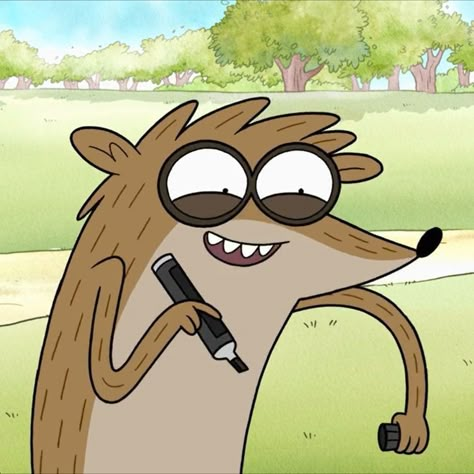 Rigby Regular Show Pfp, Rigby Pfp, Rigby Regular Show, Network Icon, Cartoon Network Shows, Regular Show, Teen Romance Books, Trash Panda, Good Cartoons