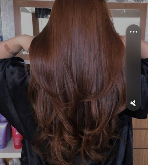 Dark Auburn Hair Color Fair Skin, Ginger Chestnut Hair, Deep Chestnut Brown Hair Dark Auburn, Light Raspberry Brown Hair, Dark Copper Hair Brown, Hair Colors For Very Pale Skin, Dark Auburn Hair Natural, Brown Redish Hair Balayage, Solid Hair Color Ideas For Curly Hair