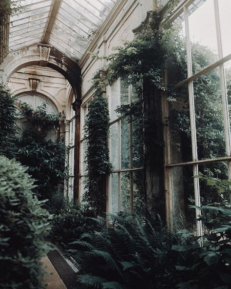 Academia — Botanic academia aesthetic Leilanicore Aesthetic, Abigailcore Aesthetic, Ireland University, Green Academia, Dark Naturalism, Dark Green Aesthetic, Hogwarts Aesthetic, Slytherin Aesthetic, Plant Aesthetic