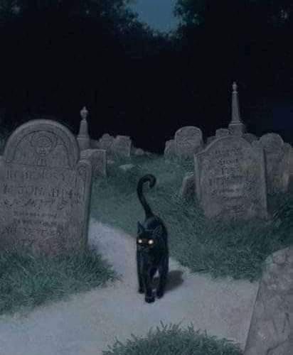 Fall Ghost, October Autumn, Creepy Horror, Autumn Fall, Cemetery, Pumpkins, Black Cat, Ghost, Tumblr