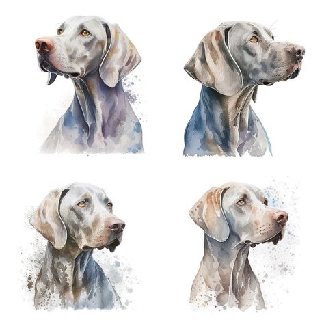 Illustrated Doggie Doodles: Clipart Stickers Jungle Clipart, Paintings Animals, Weimaraner Puppies, Creative Clips Clipart, Clipart Animals, Canine Art, Beautiful Art Paintings, Watercolor Designs, Weimaraner