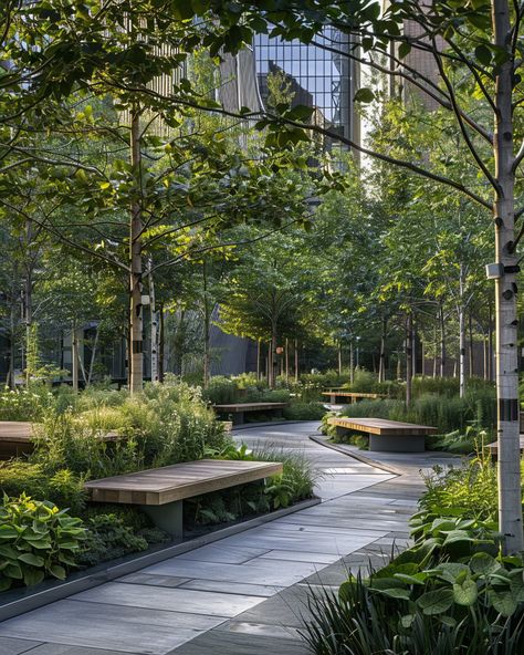 Entry Plaza Design, Landscape Architecture Aesthetic, Urban Landscape Design Public Spaces, Urban Farm Design, Softscape Landscape, Urban Forest Design, Healing Garden Design, Campus Landscape Design, Landscape Plaza