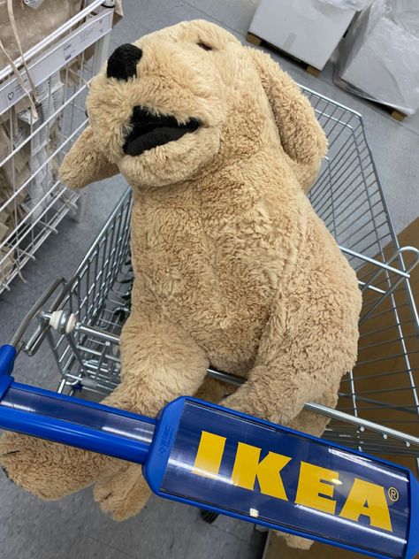 Gosig Golden, Ikea Plushies, Ikea Dog, Ikea Toys, Stuff Toy, Toy Dog, Dog Stuff, I Love Dogs, Dog Toys