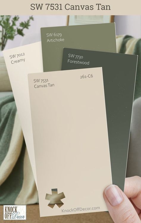 Sherwin Williams Canvas Tan Exterior, Tan With Green Undertones, Sw Canvas Tan, Canvas Tan Sherwin Williams, Sherwin Williams Canvas Tan, Tan Paint Colors, Colors For Home, Tan Paint, Paint Color Inspiration