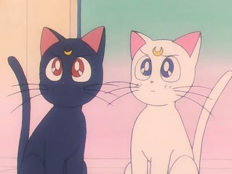 Luna and Artemis Anime Cats, Black And White, Anime, White, Black