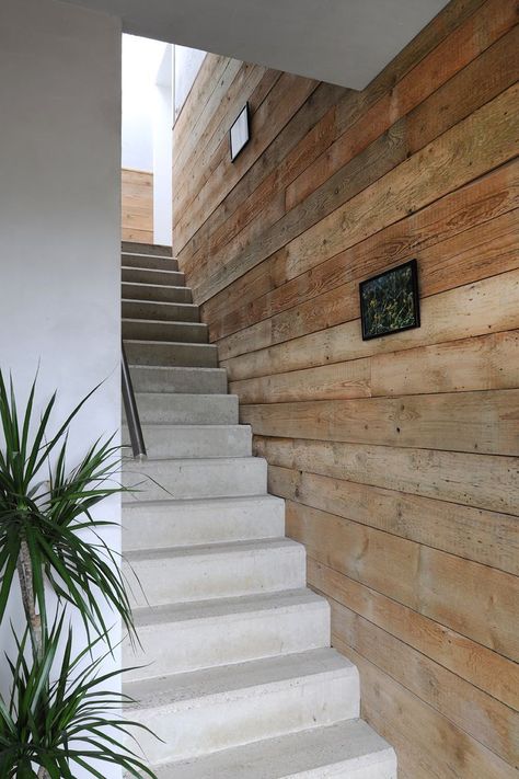 Stairs House, White Wood Wall, Architecture Company, Stairs Architecture, Concrete Stairs, Stair Case, Diy Stairs, Wooden Stairs, House Stairs