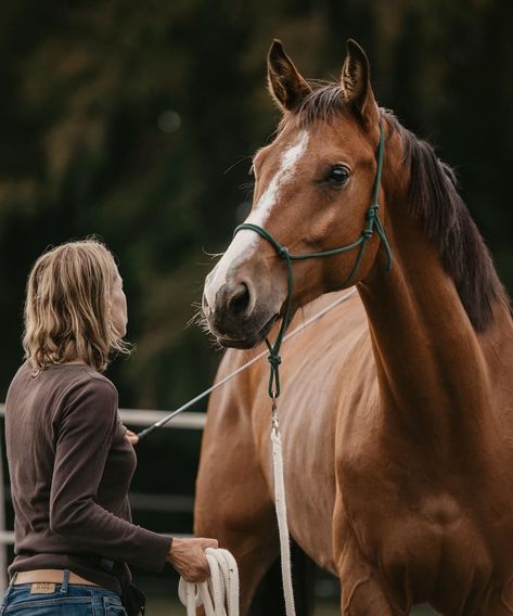 What is Parelli Natural Horsemanship? | Parelli Instruktoren Natural Horsemanship Training, Horses Aesthetic, Riding Aesthetic, Horse Riding Aesthetic, Equestrian Aesthetic, Natural Horsemanship, Horse Trainer, Horse Aesthetic, Dream Horse