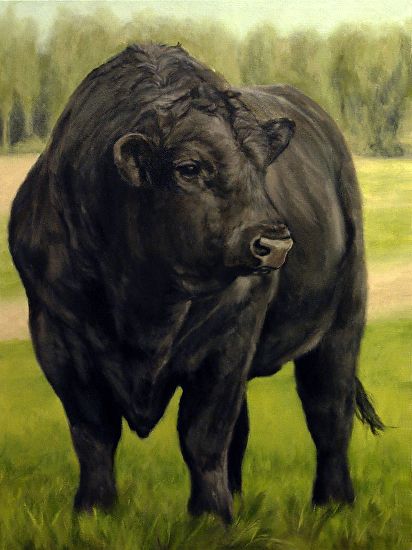 Angus Bull, Cow Paintings, Farm Animal Paintings, Buffalo Animal, Floral Art Paintings, Cow Photography, Beef Cow, 20th Anniversary Gifts, Bull Art