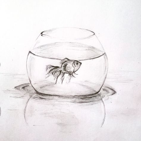 Art Class Drawing Ideas, White And Black Pictures, Class Drawing Ideas, Fish Bowl Drawing, Art Class Drawing, Class Drawing, Koi Painting, Pencil Shading, Still Life Drawing