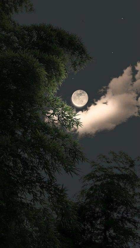 Pretty Outside Pictures Dark, Aesthetic Moon Photos, Moon Images Aesthetic, Brown Moon Wallpaper, Moonlight Aesthetic Dark, Photos Astethic, Nature Profile Pictures, Pretty Moon Pictures, Moon Wallpaper Night Skies