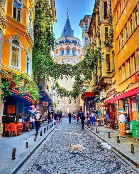 Istanbul, Turkey 📷@ipekakdogann Turkey Places, Turkey Vacation, Istanbul Turkey Photography, Turkey Photography, Istanbul Photography, Travel Istanbul, Istanbul Travel, Turkey Travel, Dream Travel Destinations