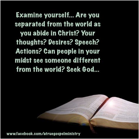 Are you separated from the world as you abide in Christ? Your thoughts? Desires? Speech? Actions? Can people in your midst see someone different from the world? Seek God.. examine yourself.. #davidwilkerson #worldly #examine #repent #seekgod http://sermons.worldchallenge.org/en/node/29723 Examine Yourself, Separation Of Church And State, Separation Of Church And State Quotes, Coincidence Is Gods Way, God Chooses The Unqualified, Matthew 5 4, Mandate Of Heaven, Abide In Christ, Mens Haircuts Fade