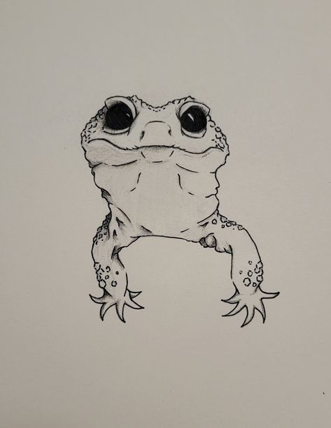 Gecko Drawing Reference, Gecko Sketch, Gecko, Drawing Reference, Art Ideas, Sketch, Drawings, Art, Nature