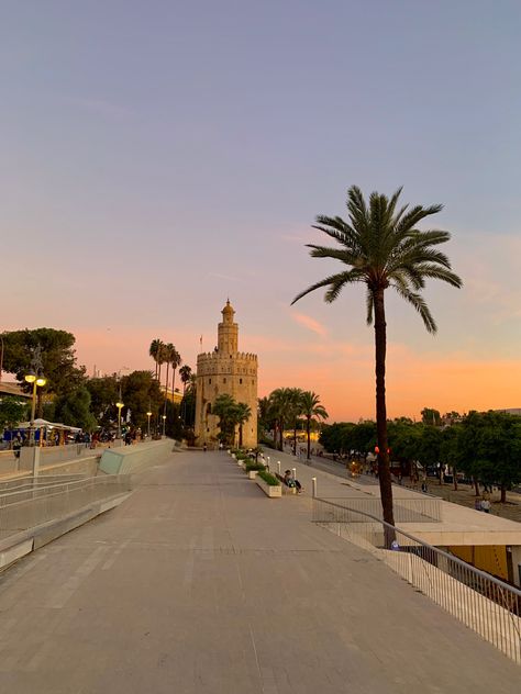 Seville Spain Aesthetic, Andalucia Aesthetic, Seville Aesthetic, Sevilla Aesthetic, Fashion Books Aesthetic, Spain Seville, Flowers Sunset, Spain Aesthetic, Sevilla Spain