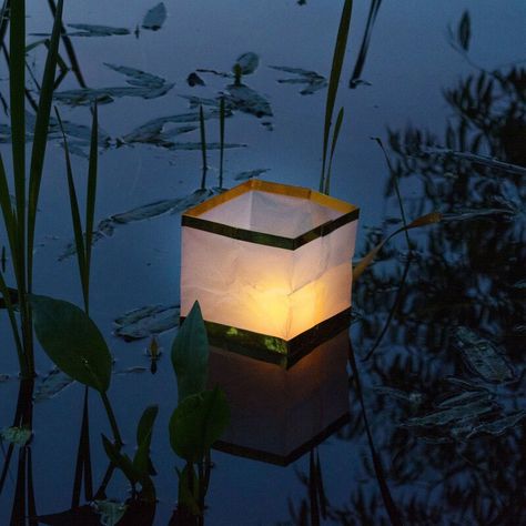 Lanterns Aesthetic, Floating Water Lanterns, Lanterns Floating, Floating Paper Lanterns, Lantern Aesthetic, Wish Lanterns, White Paper Lanterns, Yellow Lantern, Wave Runner