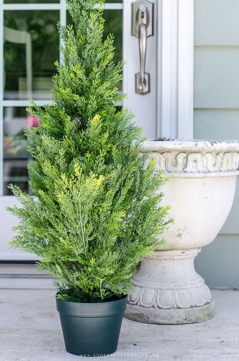 Large Pots Outdoor Front Porches, Front Of House Potted Plants, Best Front Porch Plants, Tall Potted Plants Outdoor Full Sun, Potted Plants For Front Porch, Boxwoods In Planters, Faux Outdoor Plants Front Doors, Evergreen Plants For Pots, Curb Appeal Garage