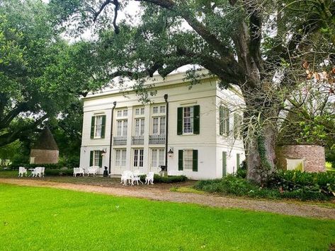 Photos: Look inside Bocage Antebellum home that's up for auction in Louisiana | Multimedia | theadvocate.com Antebellum Homes House Plans, Antebellum Homes Interior, New Orleans Plantations, Abandoned Mansion For Sale, Antebellum Home, Louisiana Plantations, Antebellum South, Southern Mansions, Charleston Style