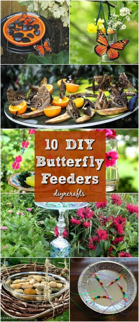 10 DIY Butterfly Feeders That Will Add Beauty And Butterflies To Your Garden Diy Papillon, Butterfly Feeders, Butterfly Feeder, Butterfly Garden Plants, Butterfly Garden Design, Hummingbird Garden, Meteor Garden 2018, Diy Butterfly, Vegetable Gardens