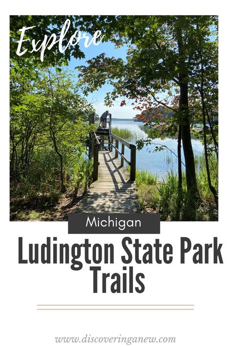 Ludington State Park is one of the most popular state parks in Michigan because of the endless natural beauty of Lake Michigan’s shoreline. With over 5,000 acres of sandy forested dunes and marshlands and 21 miles of diverse trails, there are endless hiking opportunities. A favorite Michigan hike for kids and families. Warren Dunes State Park Michigan, Silver Lake Michigan, Michigan Day Trips, Michigan Hiking, Warren Dunes, Ludington Michigan, Michigan Travel Destinations, Michigan Camping, Ludington State Park