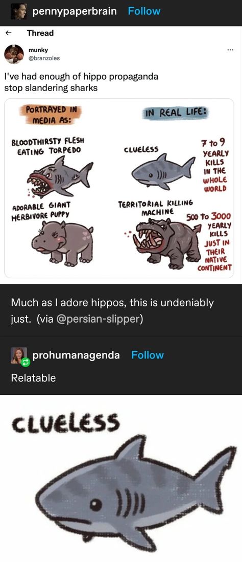 Timmy Turner, Funny Tumblr Posts, What’s Going On, Animal Memes, Tumblr Funny, Tumblr Posts, Sharks, Funny Posts, Funny Images