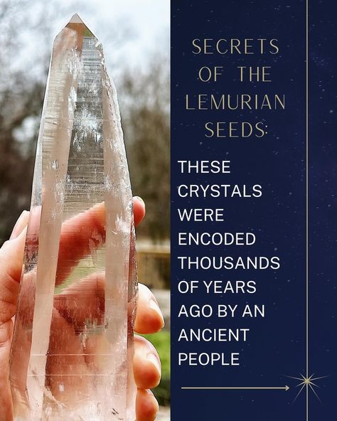 Secrets of the Lemurian Seeds: ⠀⠀⠀⠀⠀⠀⠀⠀⠀ These crystals were encoded thousands of years ago by an ancient people who lived in harmony with All-That-Is, so that their culture and way of life would be remembered. ⠀⠀⠀⠀⠀⠀⠀⠀⠀ But they could also gaze down the timelines, and they saw that we would, one day, need their medicine again. ⠀⠀⠀⠀⠀⠀⠀⠀⠀ But it’s not enough for us to simply remember their teachings: We need to remember our own ancient wisdom and connection to the planet, too. ⠀⠀⠀⠀⠀⠀⠀⠀⠀ So enc... Spiritual Aesthetic, Witchy Stuff, Hype Shoes, Ancient Wisdom, Not Enough, Way Of Life, Enough Is Enough, Crystal Healing, One Day