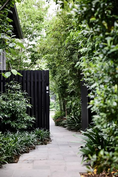 House tour: Elwood Melbourne house by Matyas Architects and Nina Provan – Vogue Australia Black Garden, White Picket Fence, Side Garden, Garden Architecture, Have Inspiration, Picket Fence, Garden Fence, Garden Gates, Tropical Garden