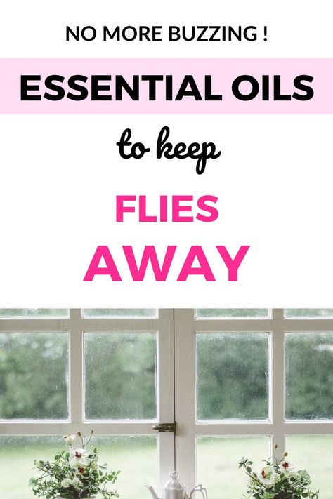 a pin linking to a blogpost  about how to keep flies away this summer with essential oils Fly Repellant Diy Indoors, How To Repel Flies, Fly Remedies, Fly Repellant Diy, Repel Flies, Top Essential Oils, Diy Home Projects, Fly Repellant, Spa Like Bathroom