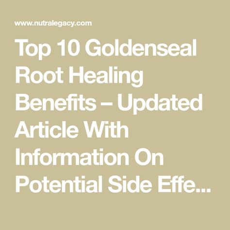 Top 10 Goldenseal Root Healing Benefits – Updated Article With Information On Potential Side Effects Goldenseal And Echinacea Benefits, Benefits Of Goldenseal, Golden Seal Benefits, Goldenseal Root Benefits, Goldenseal Benefits, Herb Apothecary, Golden Seal, Holistic Self Care, Echinacea Benefits