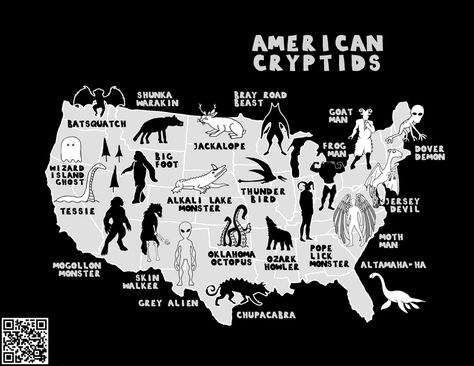 Dover Demon, Skin Walker, Bitcoin Money, Us Poster, Map Of The United States, Ohio Map, Grey Alien, Money Success, Bigfoot Sasquatch