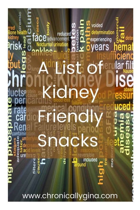 Healthy Kidney Friendly Snack Ideas Ckd Diet, Kidney Healthy Foods, Ckd Recipes, Kidney Diet Recipes, Kidney Friendly Recipes Renal Diet, Food For Kidney Health, Healthy Kidney Diet, Renal Diet Recipes, Kidney Friendly Foods