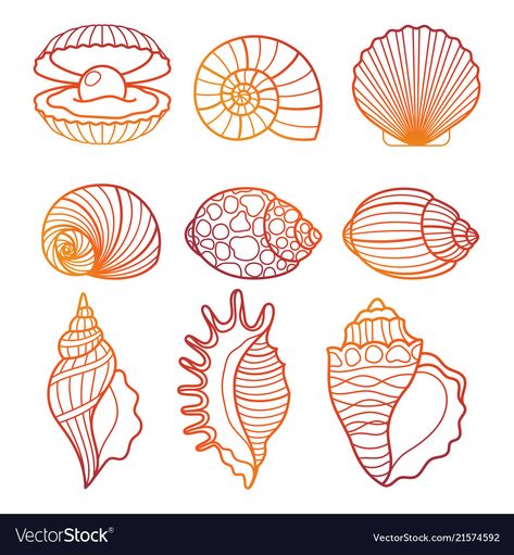 Sea Shell Outline, Shell Outline, Shell Drawing, Shell Tattoos, Mermaid Drawings, Hand Drawn Vector, Surf Art, Line Icon, Free Vector Art