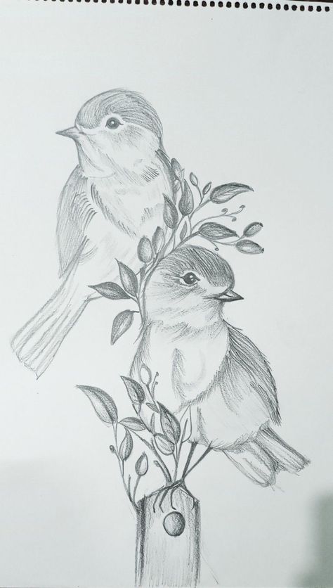 Bird Pencil Drawing Sketches, 2 Birds Drawing, Birds Sketches Pencil, Drawing Ideas Birds, Giriraj Ji, Love Birds Drawing, Beautiful Easy Drawings, Colouring Drawing, Bird Pencil Drawing