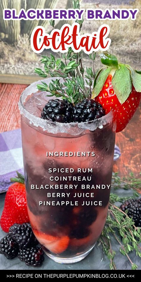 Blackberry Sidecar, Brandy Cocktail Recipes, Sidecar Recipe, Blackberry Brandy, Pineapple Juice Recipes, Bachelorette Cocktails, Brandy Cocktails, Hot Drinks Recipes, Purple Pumpkin