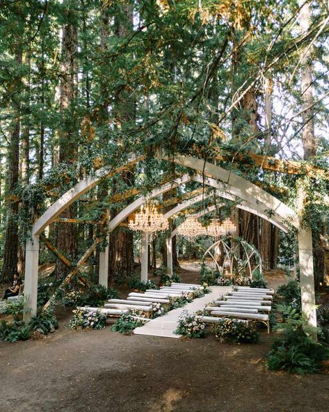 A Wedding With a Forest Ceremony and Dinner Party Reception Enchanted Forest Wedding Ceremony, Woods Wedding Ceremony, Wizard Wedding, Wooden Wedding Arch, Wedding Ceremony Design, Wooden Wedding Arches, Open Air Chapel, Forest Wedding Ceremony, Tree Grove