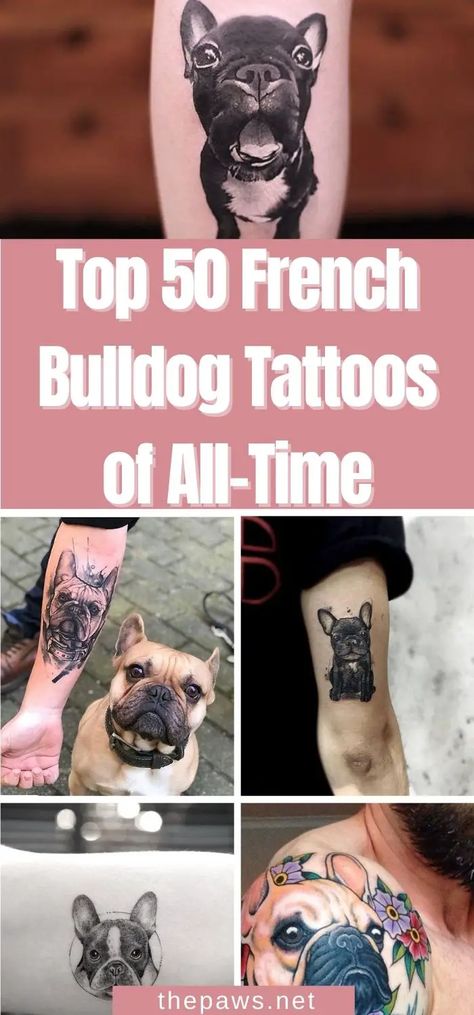 If you are the owner of a French Bulldog and thinking about immortalizing your pet's image with a tattoo, here are 50 options for you! French Bulldog Tattoos For Women, French Bulldog Memorial Tattoo, Frenchie Tatoos, French Bulldog Tattoo Ideas, Frenchie Tattoo Ideas, French Bulldog Tattoos, Bulldog Tattoo Ideas, Frenchie Tattoos, Romantic Tattoos