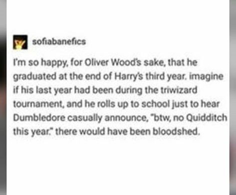 Oliver Wood Headcanons, Harry Potter Oliver Wood, Oliver Wood Aesthetic, Wood Aesthetic, About Harry Potter, Funny Harry Potter Jokes, Oliver Wood, Gay Harry Potter, Harry Potter Feels