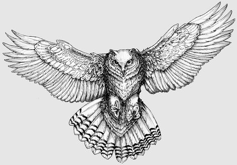 drawings For Tattoos, owl Drawing, LA Ink, five Dots Tattoo, owl Tattoo, new School, Great Horned Owl, barn Owl, EAGLE, Fly Flying Owl Tattoo, Snow Owl Tattoo, Barn Owl Tattoo, Realistic Owl Tattoo, Tattoo Perna, Owl Tattoo Drawings, Owl Flying, Owl Sketch, Flying Owl