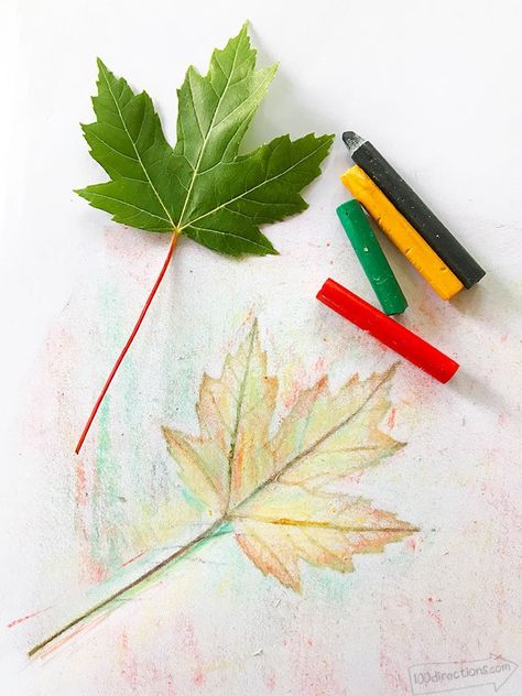 How to Make Leaf Rubbing Art and Leaf Art Printable - 100 Directions Leaf Tracing, Earth Day Crafts For Kids, Leaf Rubbing, Diy Halloween Treats, Merricks Art, Art For Kids Hub, Fun Fall Crafts, Fall Art Projects, Earth Day Crafts