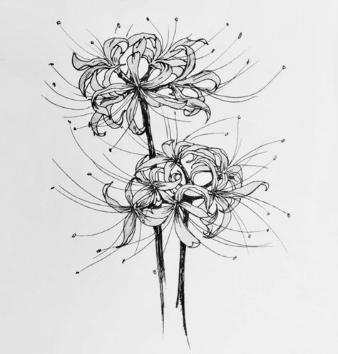 Dragon Tattoo Ideas, Lily Tattoo Design, Armband Tattoos, Spider Lily, Fire Tattoo, Sketch Tattoo Design, Lily Tattoo, Tattoo Design Book, Tattoo Illustration