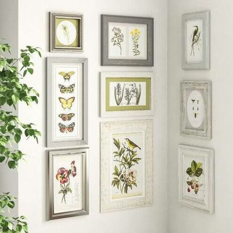 Botanical Bedroom, Elegant Wall Art, Rustic Farmhouse Kitchen, Botanical Collection, Rustic Frames, Framed Photographs, Drawing Prints, Art Print Set, Wall Display